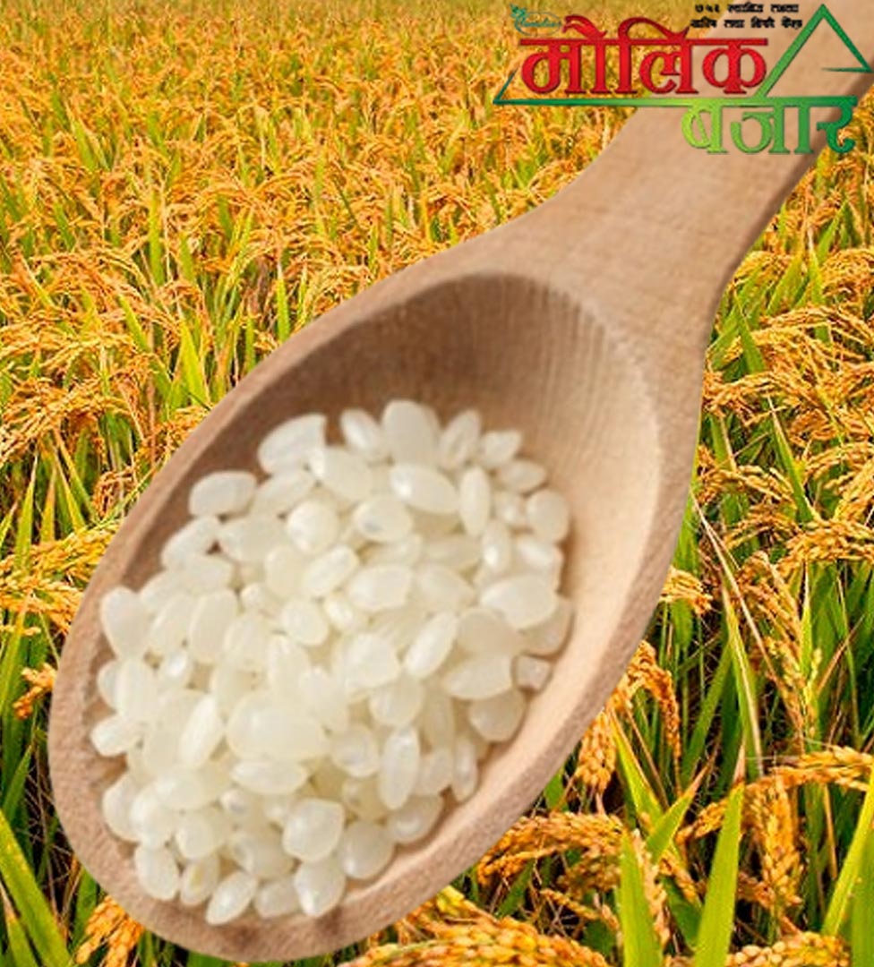 ताईचिन चामल (Taichin Chamal Khulla)